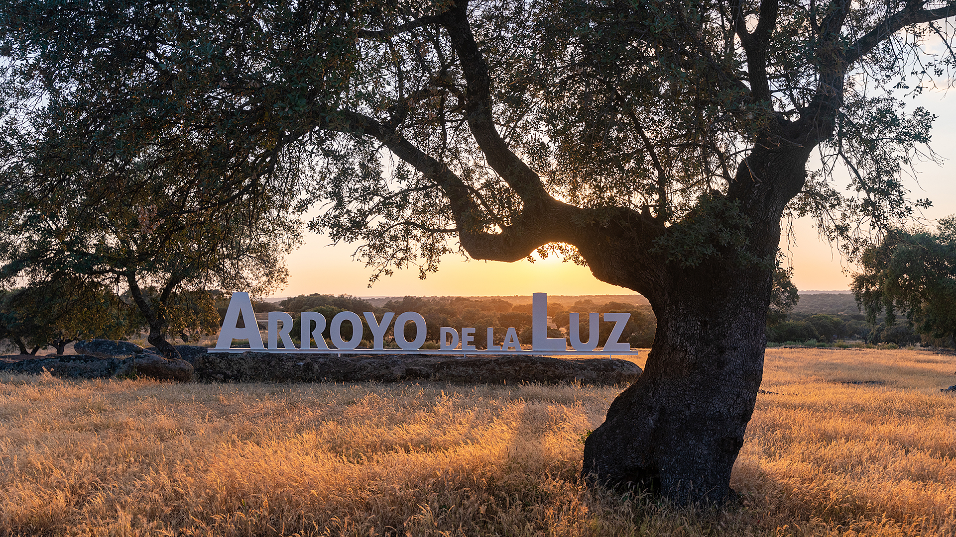 03 Arroyo de la Luz. (Arroyo de la Luz)