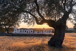 03 Arroyo de la Luz. (Arroyo de la Luz)