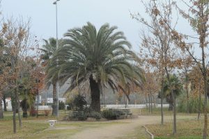 Jardín_Botánico_de_Riolobos