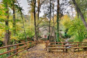 HDRtist HDR - http://www.ohanaware.com/hdrtist/