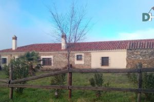 Terreno- Serradilla 1